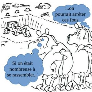 Avant-pays savoyard : “des TERRES pas d’HYPER, des LEGUMES pas de BITUME!”