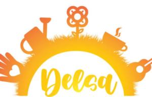 delsa cafe associatif