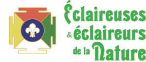 eclaireurs