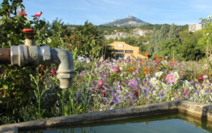Jardins partagés à Chambéry et alentours