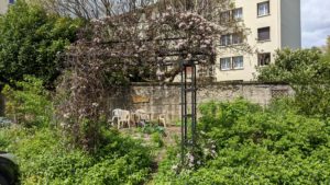 Des parcelles disponibles aux jardins partagés de la Leysse