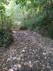 Luttons contre notre vulnérabilité face au manque d’eau