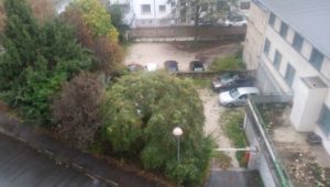 Pétition pour la sauvegarde des arbres fruitiers de Bon Pasteur / Girard Madoux