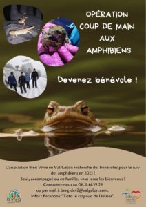Coup de main aux amphibiens