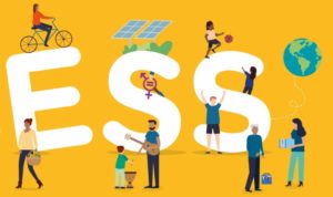 Ateliers ESS’TEAM, venez contribuer aux actions de développement de l’association