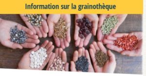 Saint Jean de Maurienne, une grainothèque